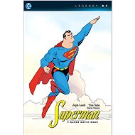 Superman v každé roční době - Jeph Loeb