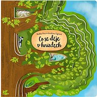 Co se děje v hnízdech - Radka Píro; Kristina Cigrová