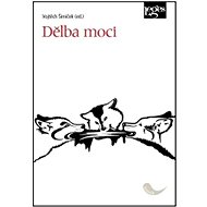 Dělba moci - Vojtěch Šimíček