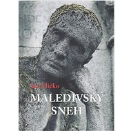 Maledivský sneh - Ján Mičko
