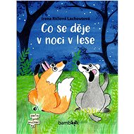 Co se děje v noci v lese - Irena Ričlová Lachoutová