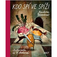 Kdo spí ve spíži - Kristina Nesvedová