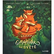 Nejlepší maminka na světě - Sébastien Perez; Benjamin Lacombe