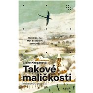 Takové maličkosti - Claire Keegan