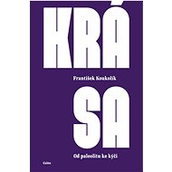 Krása: Od paleolitu ke kýči - František Koukolík