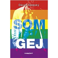 Som gej - Dávid Saleský