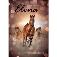Elena V poslední vteřině - Nele Neuhaus