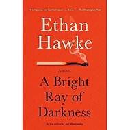 A Bright Ray of Darkness: A Novel - 