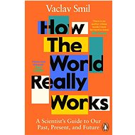 How the World Really Works: A Scientist's Guide to Our Past, Present and Future - 