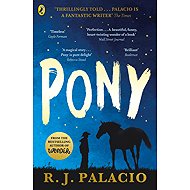 Pony - 