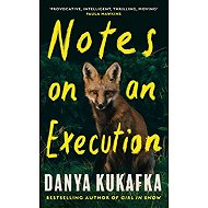 Notes on an Execution - 
