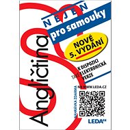 Angličtina (nejen) pro samouky - Ludmila Kollmannová