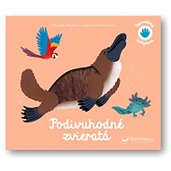 Spoznávaj dotykom Podivuhodné zvieratá - Pascale Hédelin; Raphaëlle Michaud