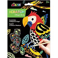 Scratching pictures 4 pcs Birds - Scratch Pictures