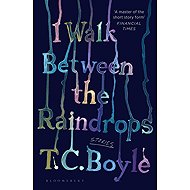I Walk Between the Raindrops - 