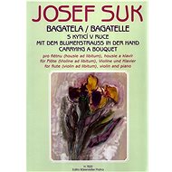 Bagatela: S kyticí v ruce - Josef Suk