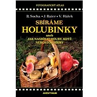Sbíráme holubinky - Jiří Baier; Václav Hálek; Radomír Socha