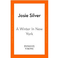 A Winter in New York - 