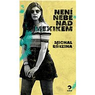 Není nebe nad Mexikem - Michal Březina