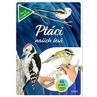 Ptáci našich lesů - 