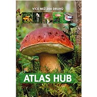 Atlas hub - 