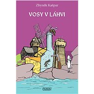 Vosy v láhvi - Zbyněk Kašpar