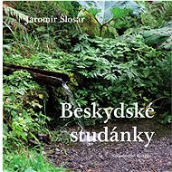 Beskydské studánky - Jaromír Šlosar