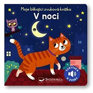 V noci - 