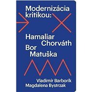 Modernizácia kritikou - Magdalena Bystrzak; Vladimír Barborík