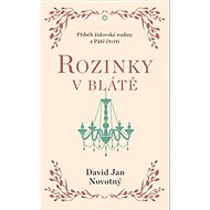 Rozinky v blátě: Dva tucty střepů - David Jan Novotný