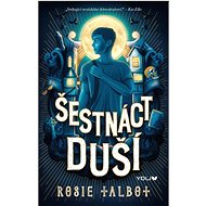 Šestnáct duší - Rosie Talbot