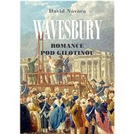 Wavesbury Romance pod gilotinou - David Návara