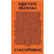 Vyhoření - Petr Šesták
