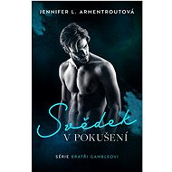 Svědek v pokušení - Jennifer L. Armentrout