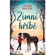 Zimní hříbě - Susanna Baileyová