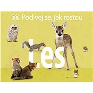 Podívej se, jak rostou Les - 