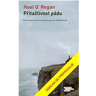 Přitažlivost pádu - Noel O´Regan