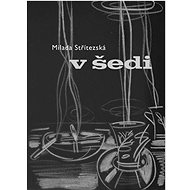 V šedi - Milada Střítezská