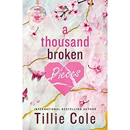 A Thousand Broken Pieces - 