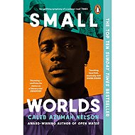 Small Worlds - 