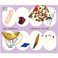 Výkladový slovník - Olga Stehlíková; Michaela Casková