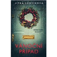 Vánoční případ - Jitka Ludvíková