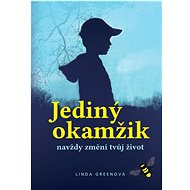 Jediný okamžik - Linda Greenová