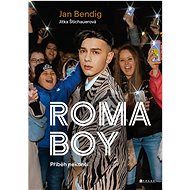 Roma boy: Příběh nekončí - Jitka Štichauerová