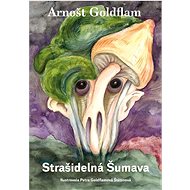 Strašidelná Šumava - Arnošt Goldflam; Petra Goldflamová Štětinová