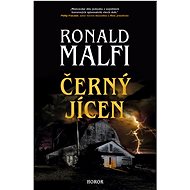 Černý jícen - Ronald Malfi