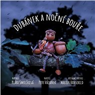 Dubánek a noční bouře - Klára Smolíková
