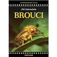 Brouci - Jiří Zahradník