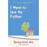 I Went to See My Father - 