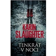 Tenkrát v noci - Karin Slaughter